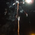 DSCF2136