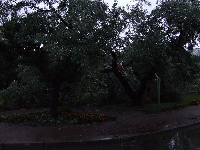 DSCF0967