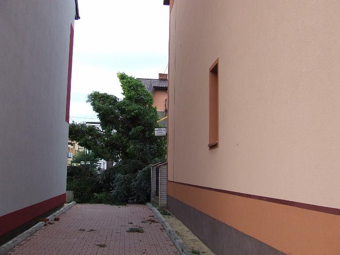 DSCF1033