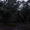 DSCF0967