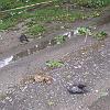 DSCF1044