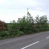 DSCF1052