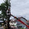DSCF1084